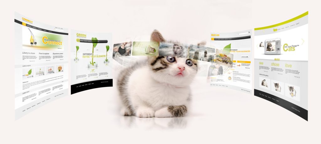 Cat website templates image